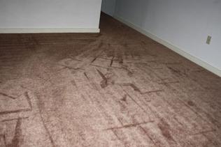 /static/images/house/28508/2582d201c5f042b9ef08d46599779dfa.jpg